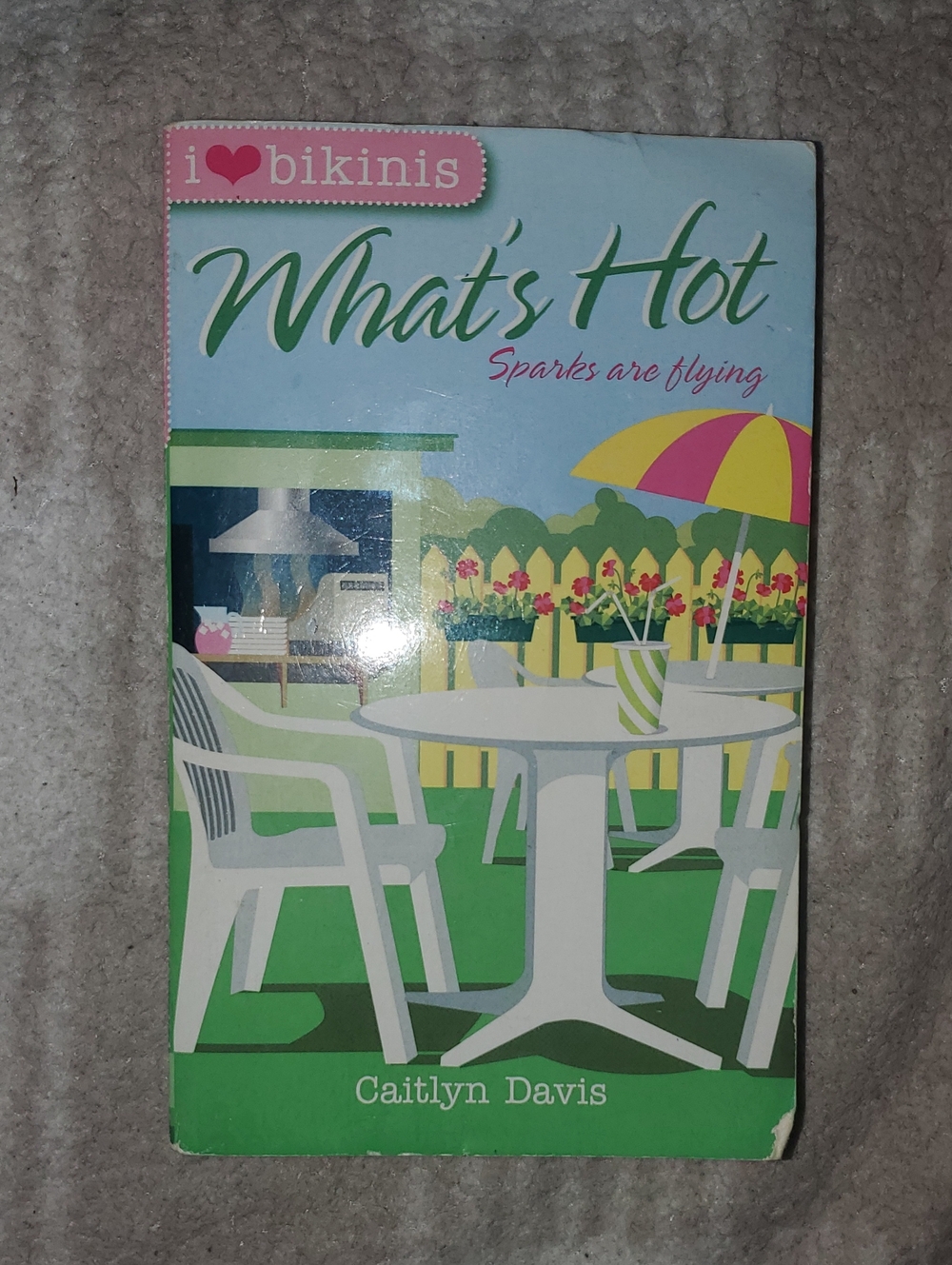 5 for $25 | What's Hot by Caitlyn Davis Paperback Novel